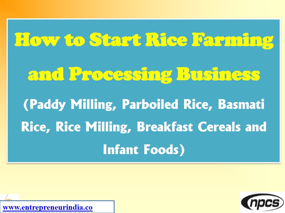 how-to-start-rice-farming-and-processing-business-paddy-milling-parboiled-rice-basmati-rice-rice-milling-breakfast-cereals-and-infant-foods