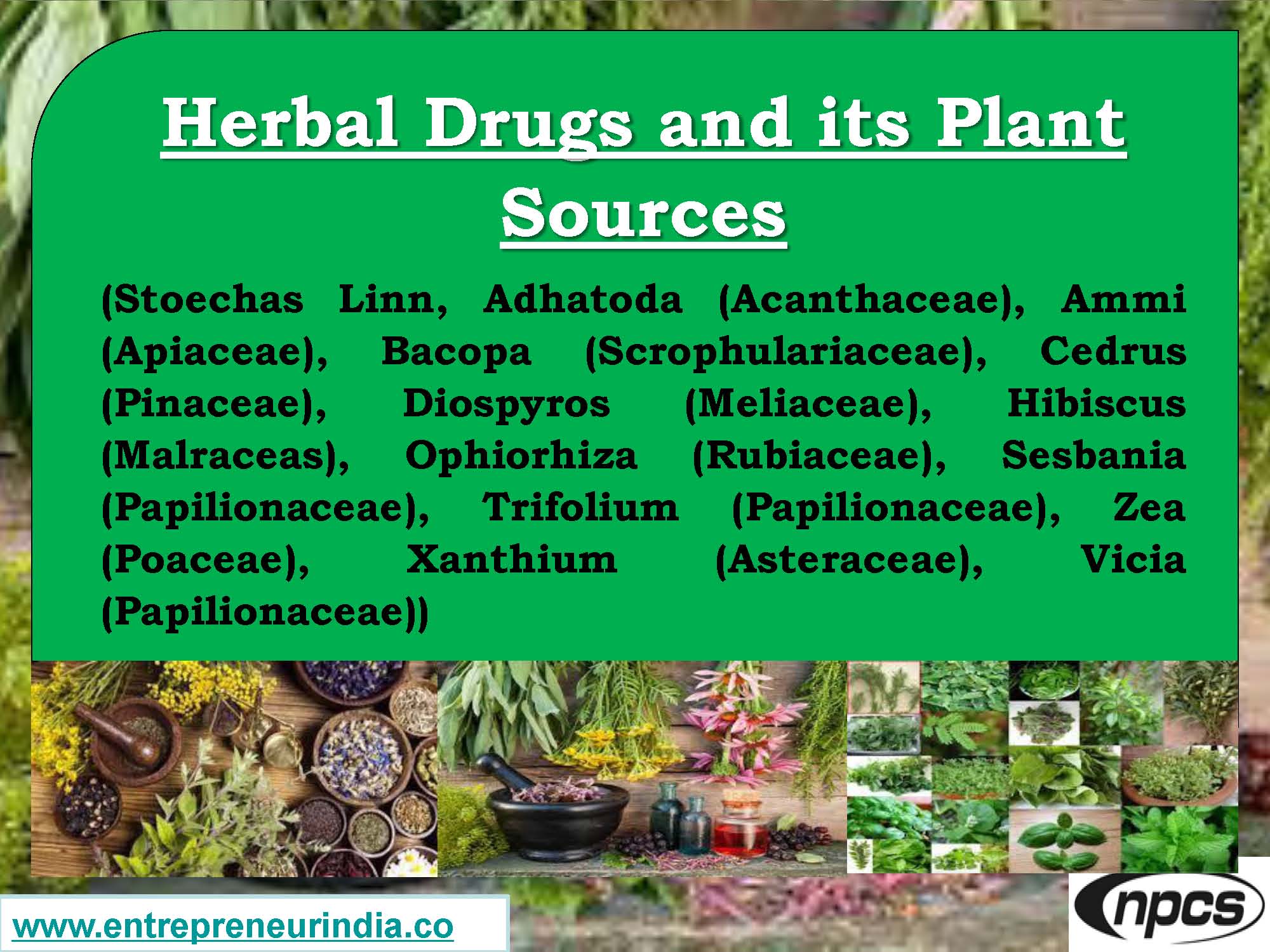 Herbal Drugs and its Plant Sources