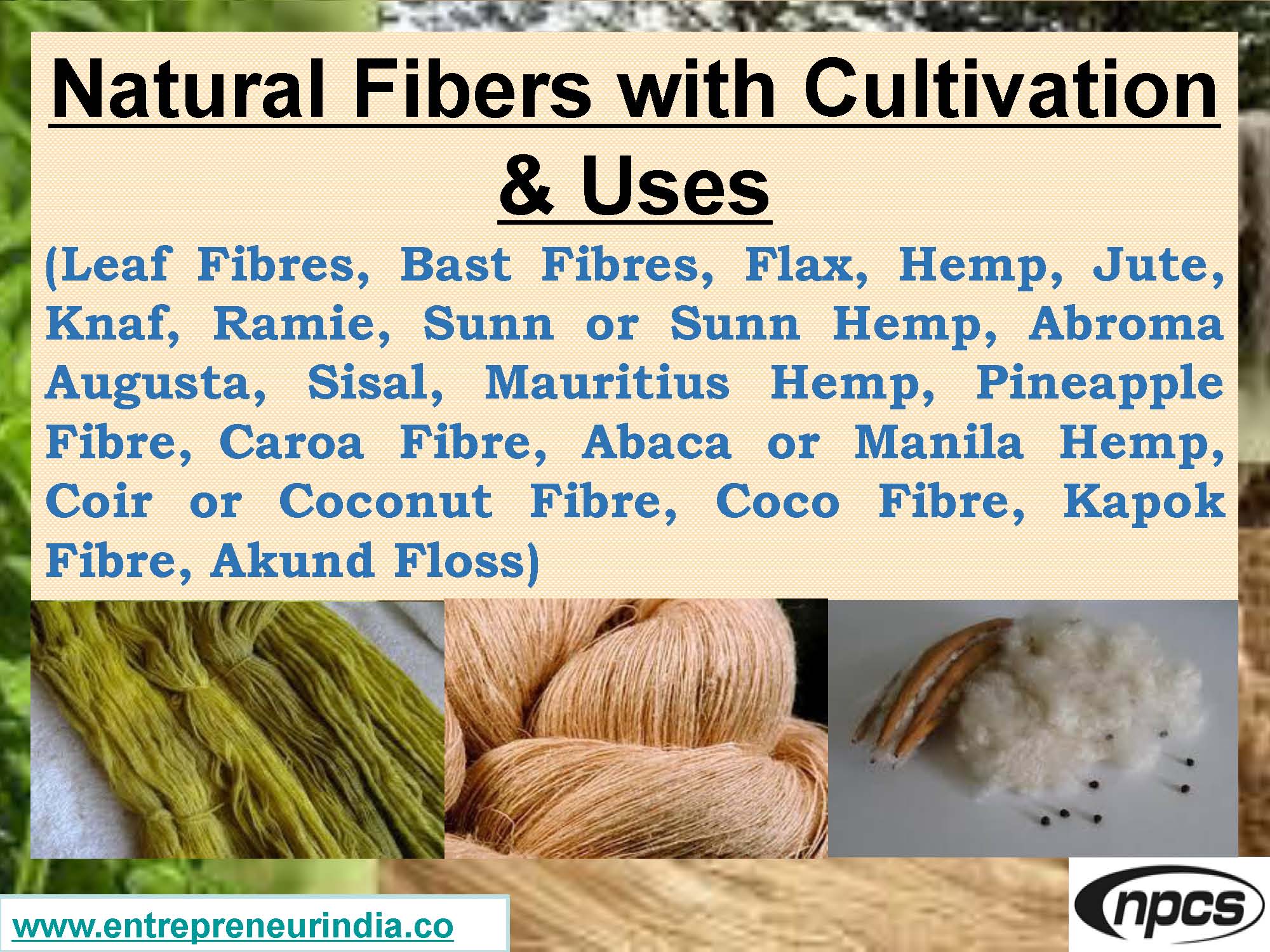 Natural Fibers with Cultivation &amp; Uses