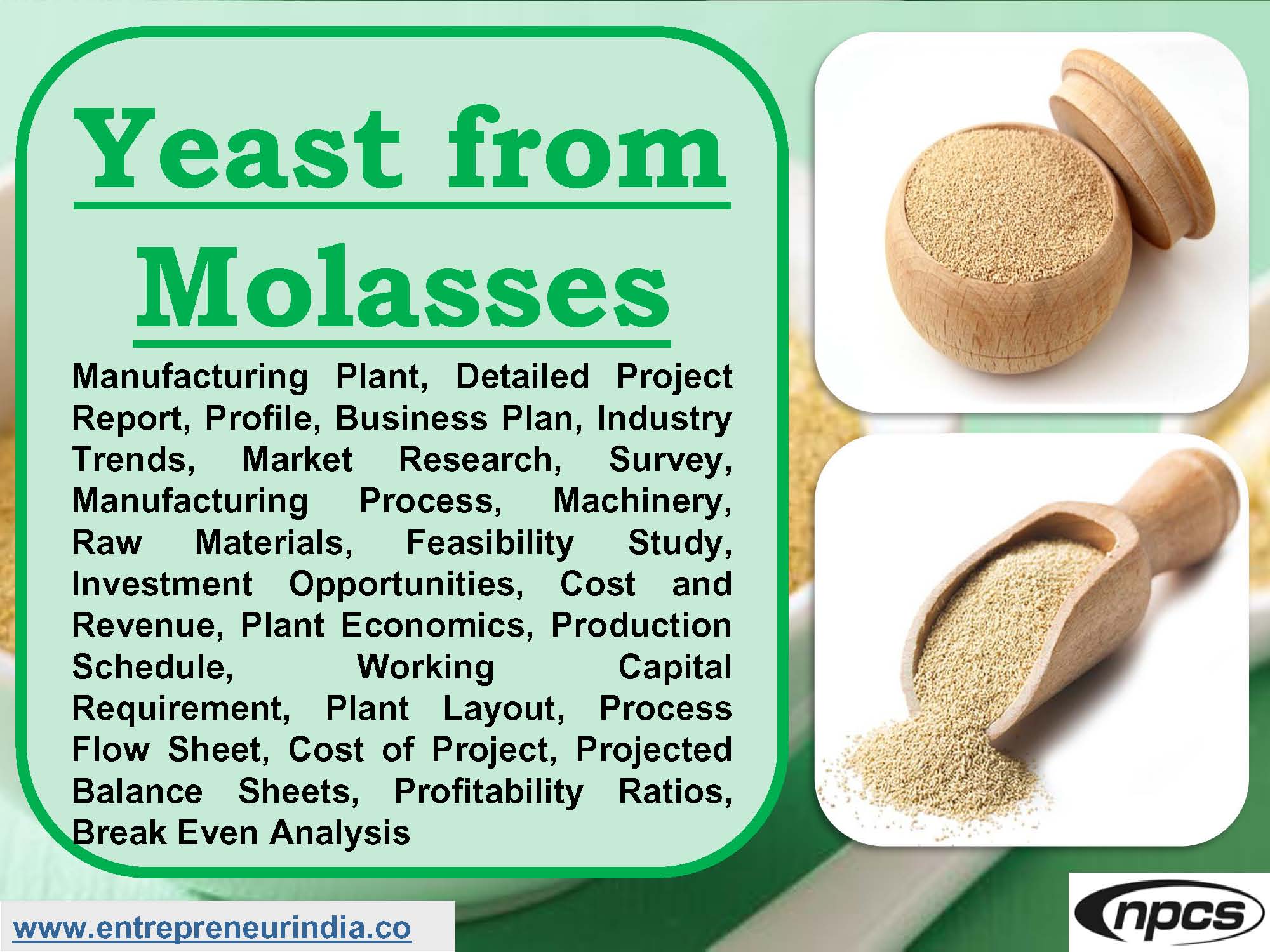 Yeast from Molasses.jpg
