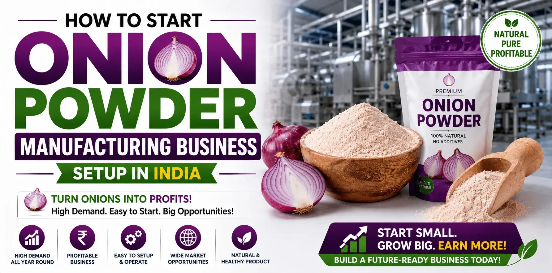 Read more about the article How to Start Onion Powder Manufacturing Business Setup in India