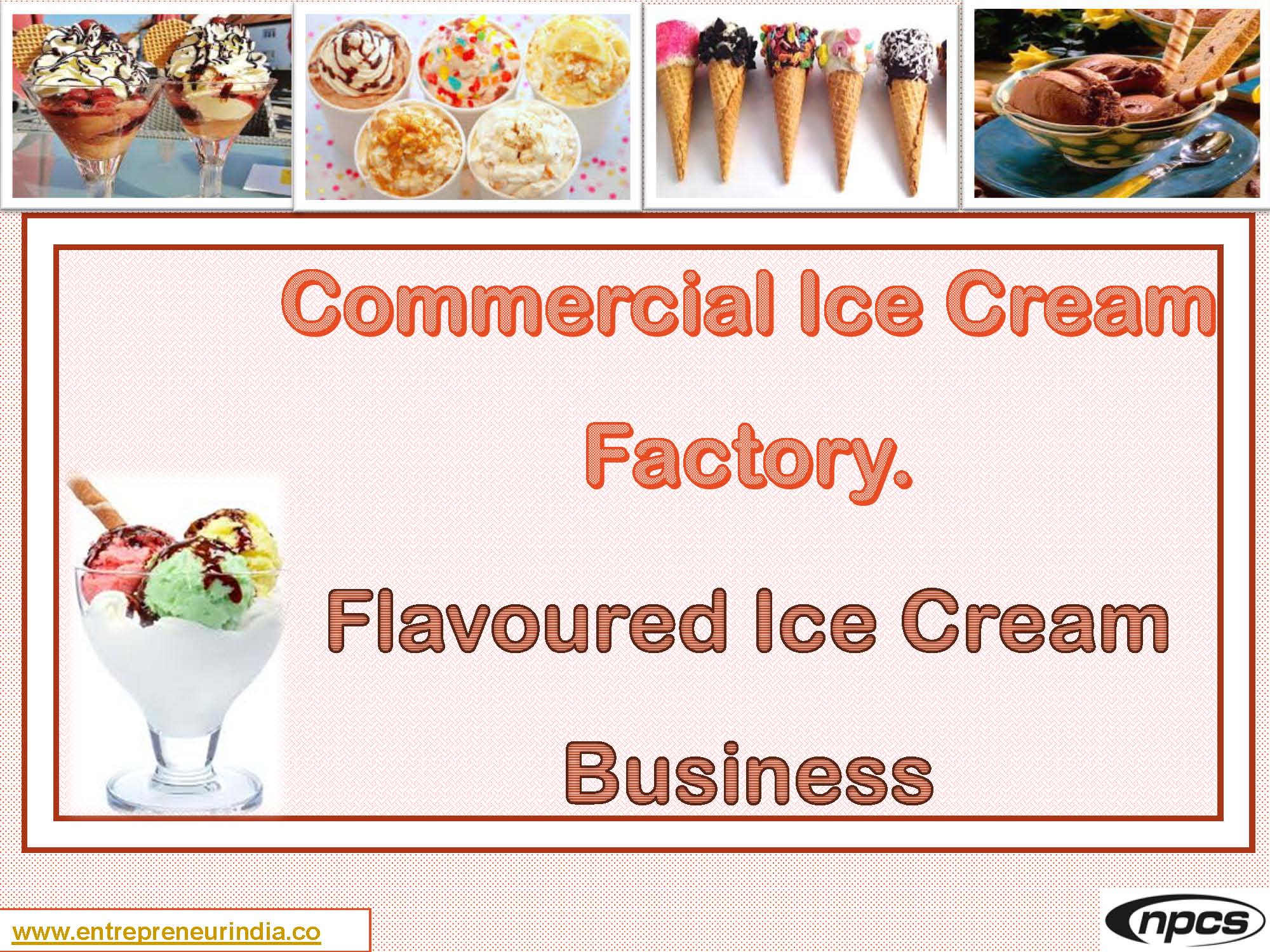 Commercial Ice Cream Factory. Flavoured Ice Cream Business