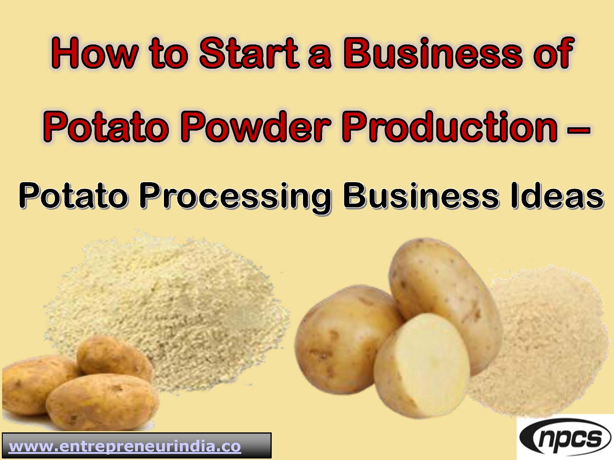 How to Start a Business of Potato Powder Production.jpg