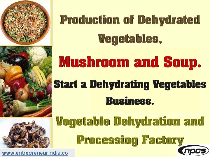 Production of Dehydrated Vegetables, Mushroom and Soup.jpg
