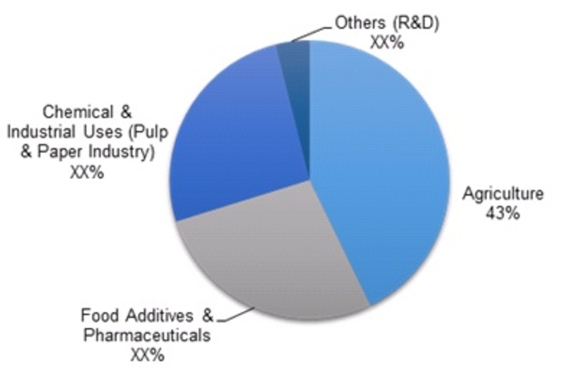 Global_Magnesium_Sulphate_Market_Share_Analysis__by_Application__2015_.jpg