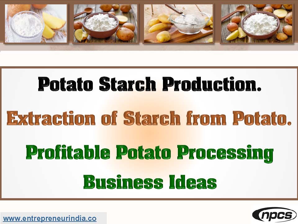 Potato Starch Production_.jpg
