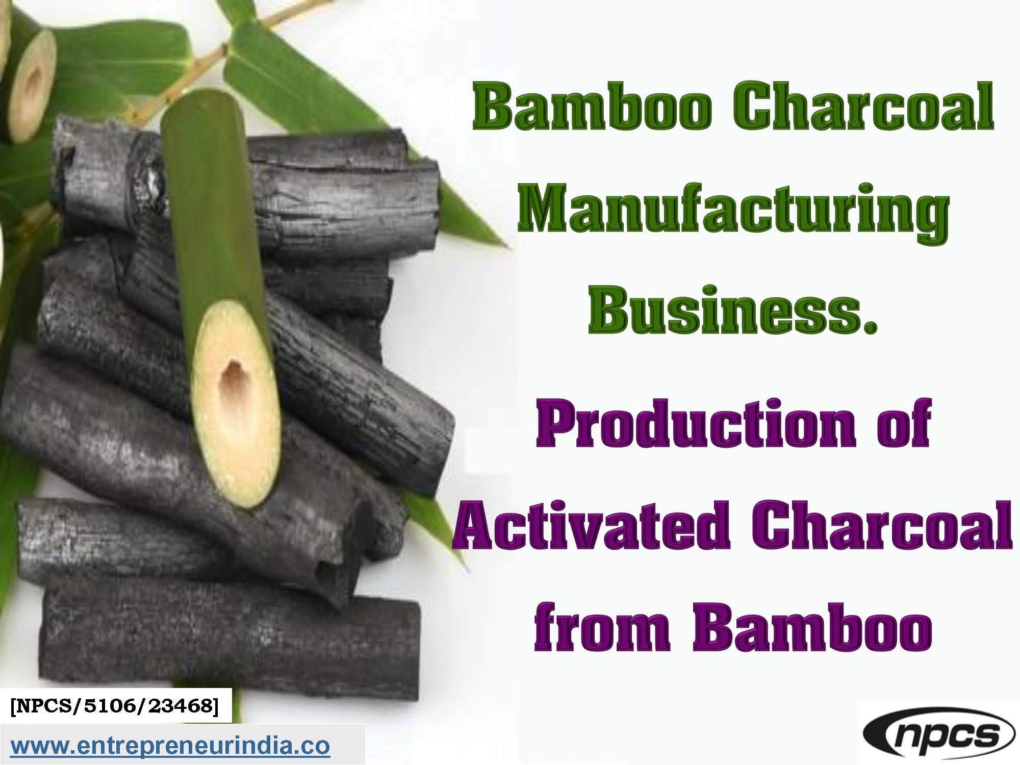 Bamboo Charcoal Manufacturing Business.jpg