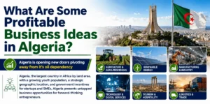 What Are Some Profitable Business Ideas in Algeria - NPCS Blog