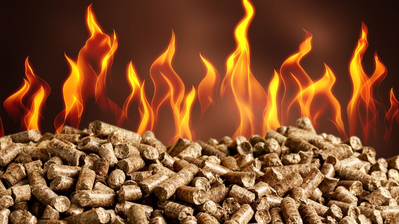 Biomass pellets fuel