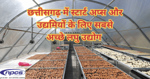 MSME Entrepreneurs in Chhattisgarh