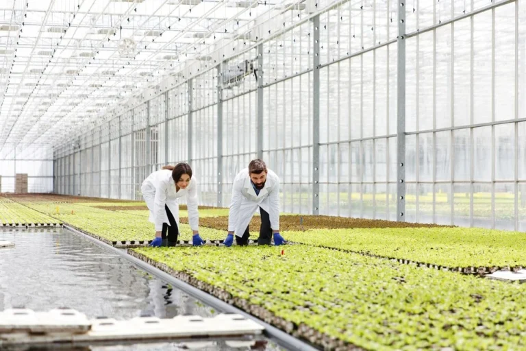 agrochemical manufacturing plant with formulation tanks and mixers