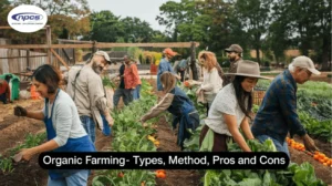 organic farming practices with natural soil care composting crop rotation and eco-friendly agriculture