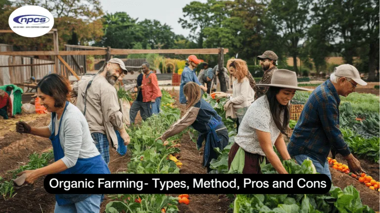 organic farming practices with natural soil care composting crop rotation and eco-friendly agriculture