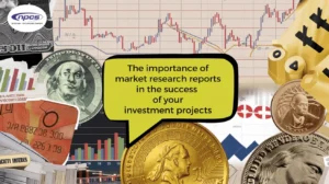 market research reports supporting investment projects with data analysis and financial planning