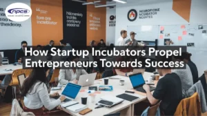 startup incubators supporting entrepreneurs through mentorship networking and funding access