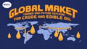 Crude oil supply and demand balance diagram