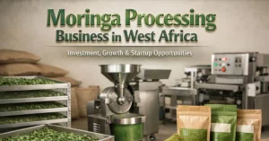 Moringa Processing Business in West Africa