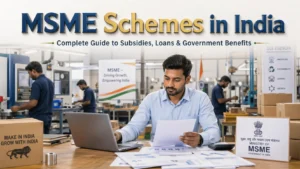 msme schemes in india loans subsidies government benefits infographic