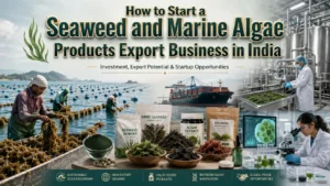 Seaweed and Marine Algae Products Export Business
